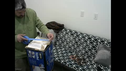 Snapshot of snizniz chatting on 11, 2, 2025 snizniz online show from 11, 2, 2025