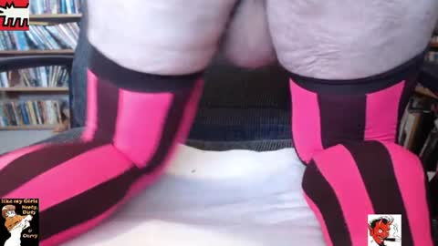 kitten online show from 15, 7, 2026