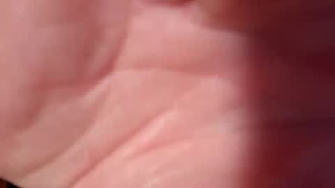 Snapshot of snooty05 chatting on 10, 2, 2025 Snooty online show from 10, 2, 2025