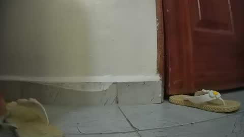 snowbell91 online show from 27, 1, 2025