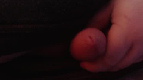 Tom online show from 26, 1, 2025