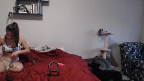 Snapshot of sofi_delightful chatting on 12, 12, 2024 Sofi online show from 12, 12, 2024