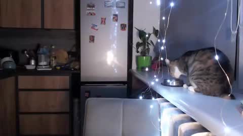Snapshot of sofi_delightful chatting on 19, 1, 2025 Sofi online show from 19, 1, 2025