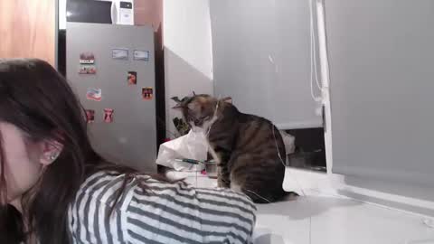 Snapshot of sofi_delightful chatting on 11, 2, 2025 Sofi online show from 11, 2, 2025