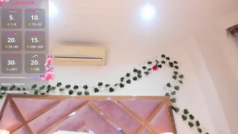   online show from 26, 1, 2025