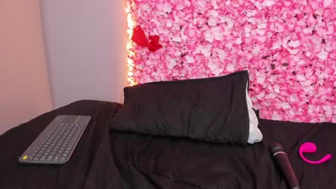 Snapshot of sofia_riveraa chatting on 22, 1, 2025 SOFIA online show from 22, 1, 2025