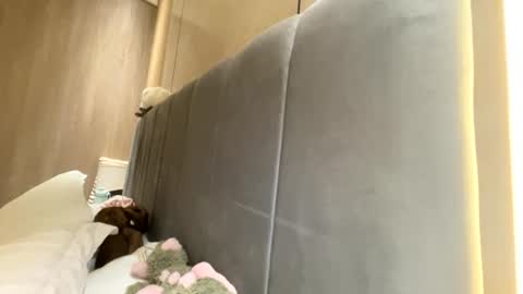 Snapshot of sofiaalvarezx chatting on 11, 7, 2026 sofiaalvarezx online show from 11, 7, 2026