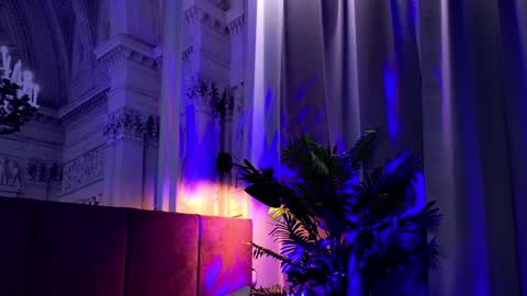 Snapshot of sofiafoster chatting on 24, 1, 2025 Sofia online show from 24, 1, 2025