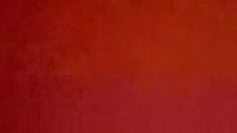 Snapshot of solid_flow chatting on 30, 11, 2025 solid_flow online show from 30, 11, 2025