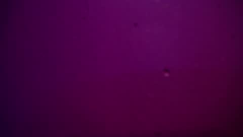 Snapshot of sommer_alexa chatting on 28, 12, 2024 Alexa online show from 28, 12, 2024