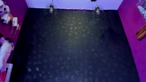 Snapshot of sommer_alexa chatting on 12, 2, 2026 Alexa online show from 12, 2, 2026