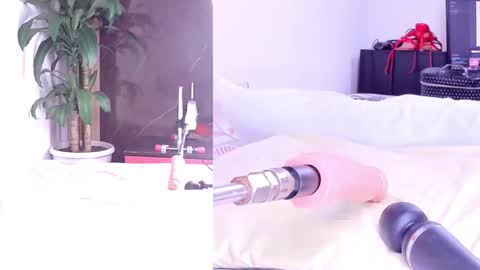 phi online show from 2, 3, 2026