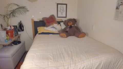 SofiTrans21 online show from 12, 1, 2026