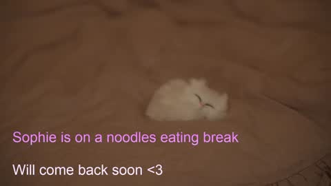 Sophie  Next stream  3 online show from 6, 2, 2025