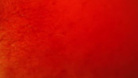 Snapshot of soy_fer chatting on 23, 6, 2026 soy_fer online show from 23, 6, 2026