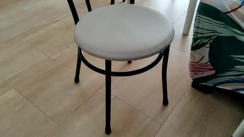 Leo online show from 2, 3, 2026