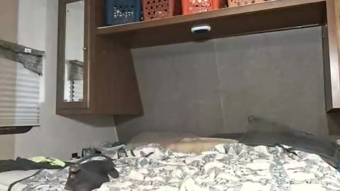 Snapshot of speedo_tx chatting on 7, 3, 2026 speedo_tx online show from 7, 3, 2026