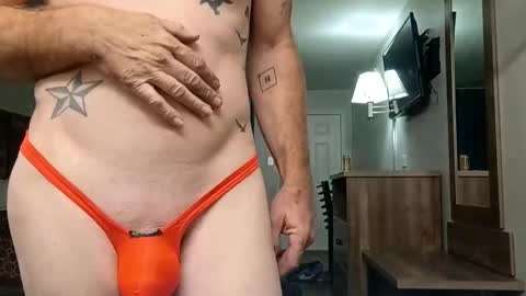 speedo_tx online show from 29, 5, 2026