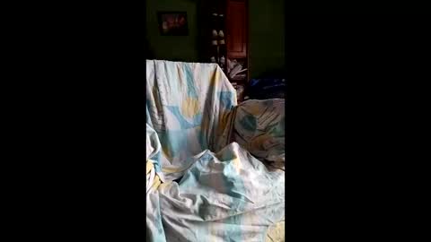 spieguelman online show from 17, 4, 2026