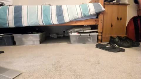 Sportyguy283 online show from 18, 1, 2026