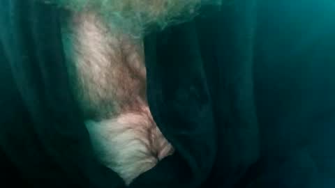 Snapshot of spunfuncumming chatting on 10, 7, 2026 spunfuncumming online show from 10, 7, 2026