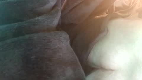 Snapshot of spunfuncumming chatting on 19, 7, 2026 spunfuncumming online show from 19, 7, 2026