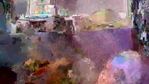 srekos38 online show from 20, 4, 2026