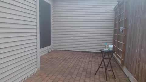 srtxshow online show from 3, 3, 2025