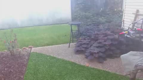 srtxshow online show from 16, 10, 2025