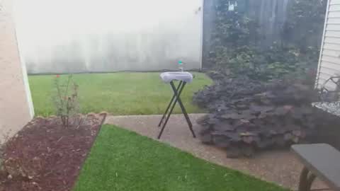 srtxshow online show from 21, 10, 2025