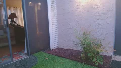 srtxshow online show from 4, 4, 2026