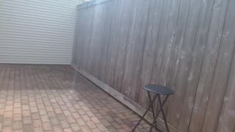 srtxshow online show from 15, 4, 2026