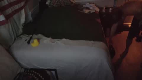 staloney online show from 15, 2, 2026