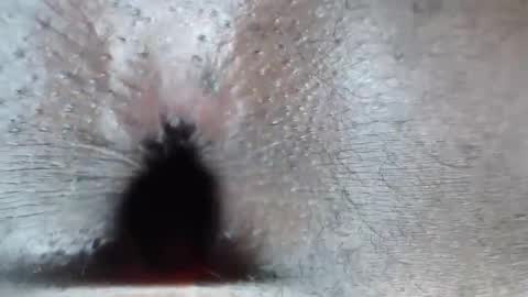 calvin online show from 26, 2, 2026