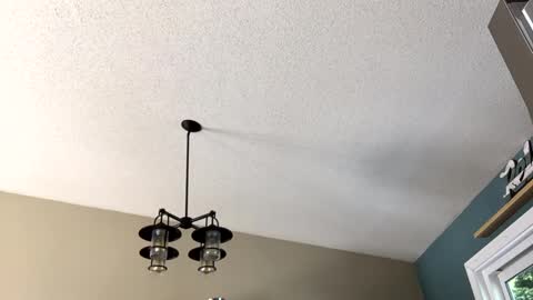 Steakman online show from 23, 2, 2025