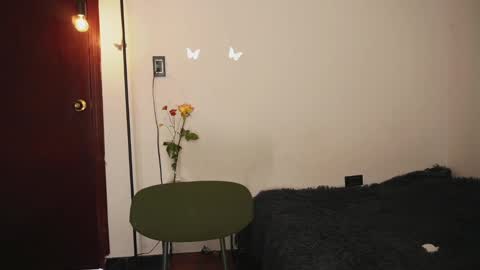 Stef online show from 11, 3, 2025