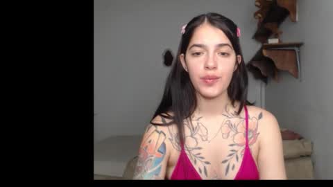 Snapshot of stella_art chatting on 12, 2, 2026 Stella online show from 12, 2, 2026