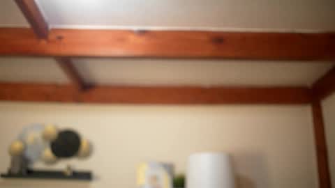 Stella online show from 22, 2, 2026