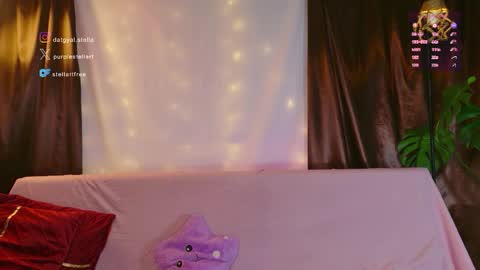 Snapshot of stellart_ chatting on 6, 5, 2026 stellart_ online show from 6, 5, 2026