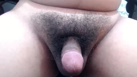 Snapshot of stellaven chatting on 24, 1, 2025 Stellaven online show from 24, 1, 2025