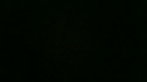 stensurfarn online show from 2, 12, 2025