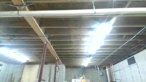 steved6001 online show from 26, 11, 2025