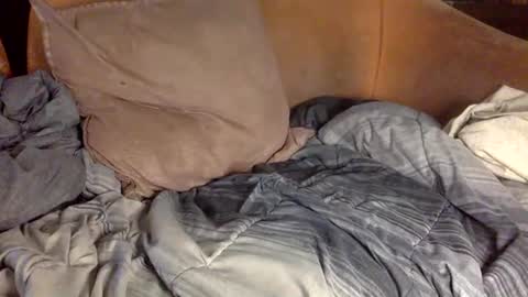 STEVE CASHMASTER 1comedia online show from 20, 2, 2025