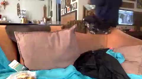 STEVE CASHMASTER 1comedia online show from 25, 2, 2025