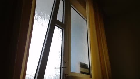 Steven online show from 26, 1, 2025