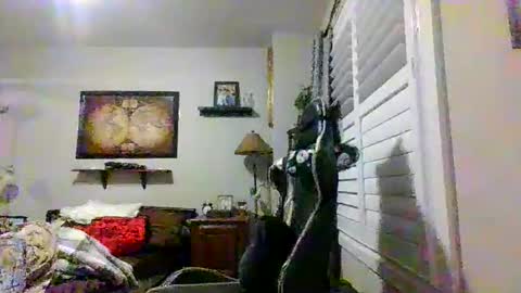 steveross33 online show from 20, 3, 2026