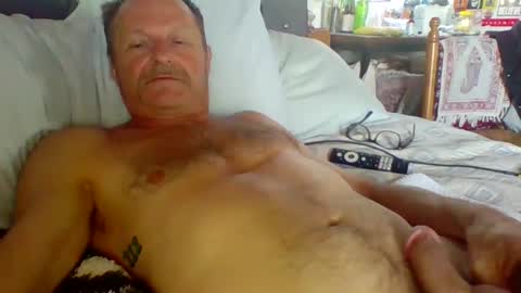 steviehard7 online show from 8, 10, 2025