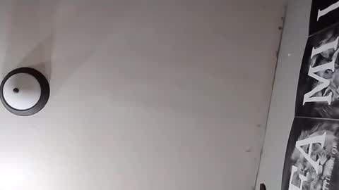 Oval2022 online show from 26, 3, 2026