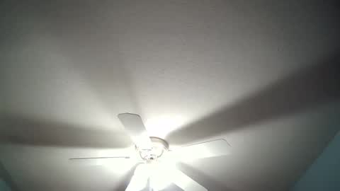 Snapshot of str8whiteboy21 chatting on 19, 12, 2024 str8whiteboy21 online show from 19, 12, 2024