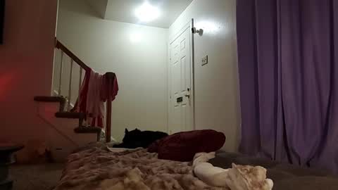 Strawberrylotsacake online show from 17, 9, 2025